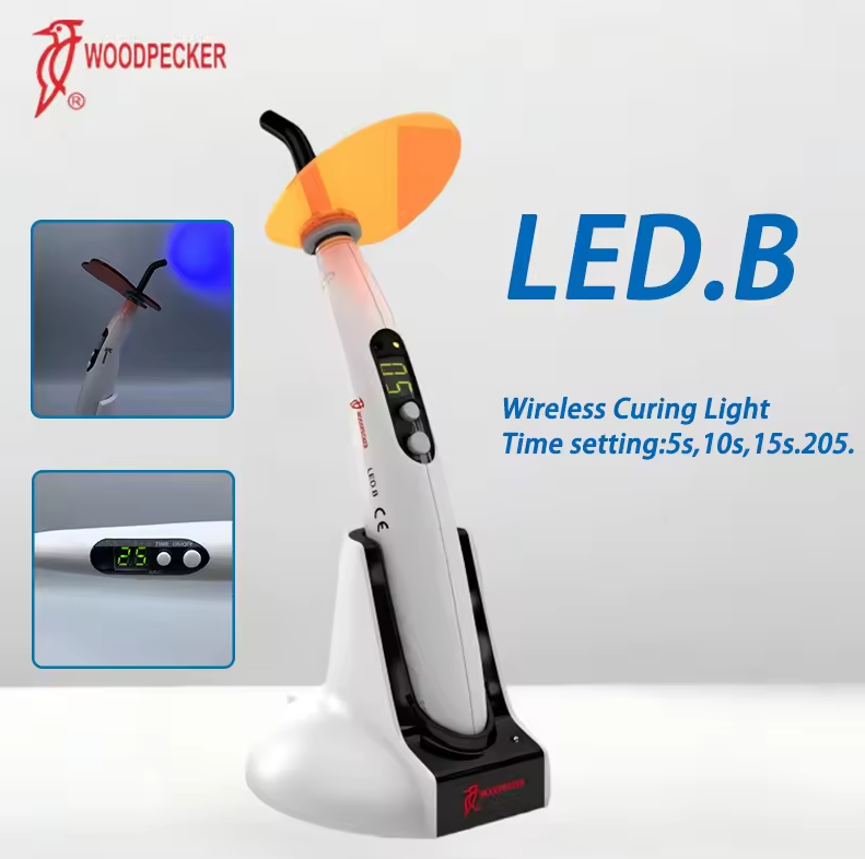 Luz de curado Dental pájaro ca - Teeth Whitening Device reseña y precio